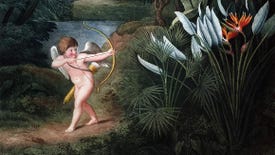 A cherub aiming a bow at a bird of paradise flower